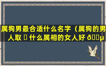 属狗男最合适什么名字（属狗的男人取 ☘ 什么属相的女人好 🌵 ）